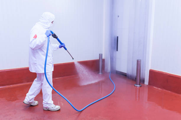 Best Spring Cleaning  in Becker, MN